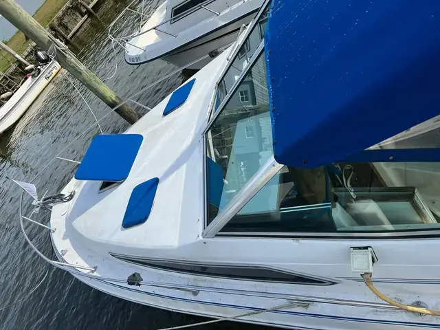 Sea Ray Sundancer 220