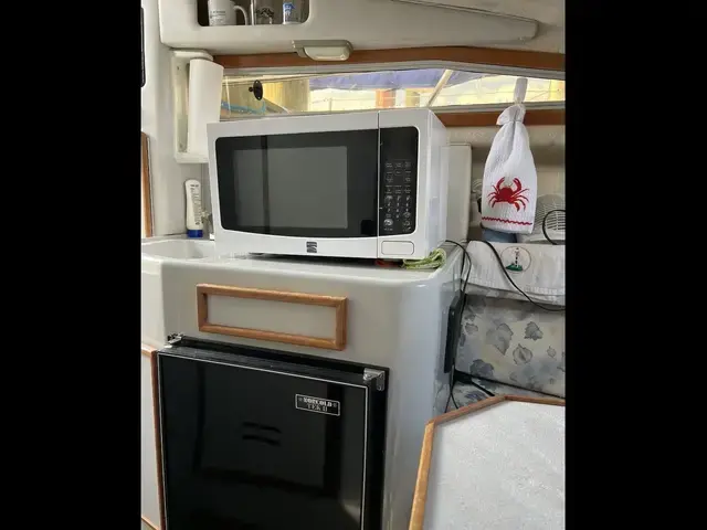 Sea Ray Sundancer 220