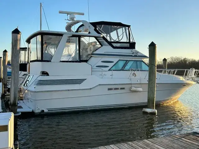 Sea Ray 415