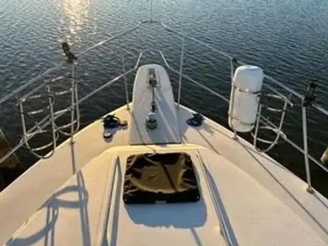 Sea Ray 415