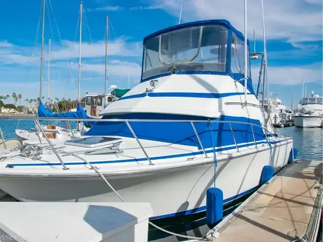 Bertram 30 Flybridge Cruiser