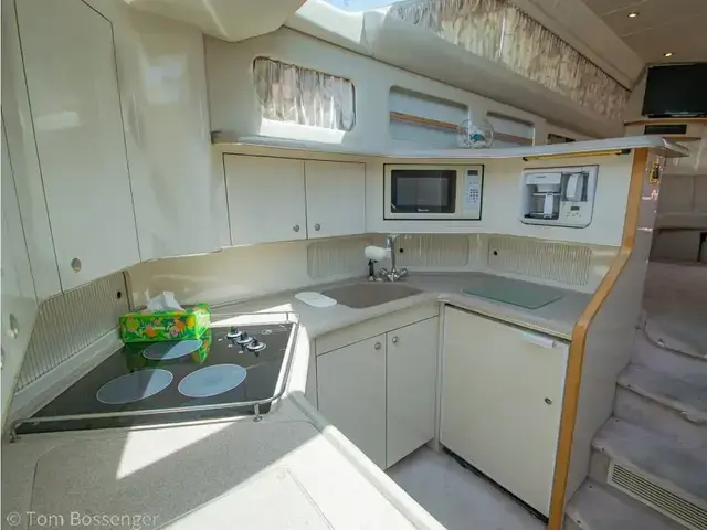 Sea Ray Sundancer 420