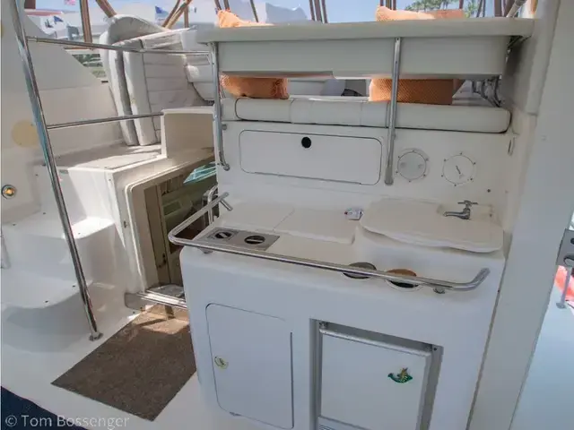 Sea Ray Sundancer 420