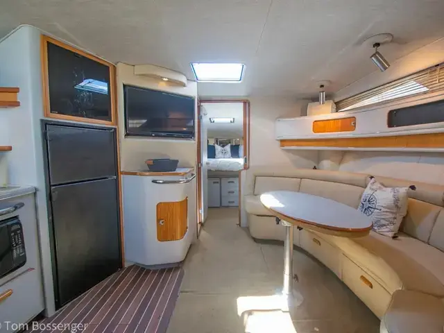 Sea Ray Sundancer 420