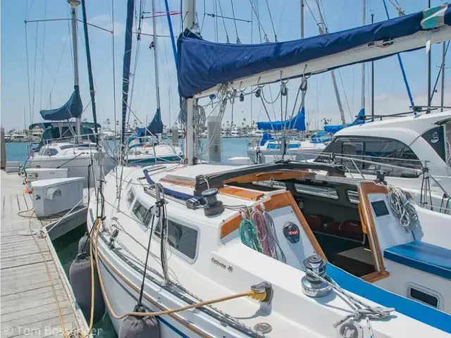 Catalina 30