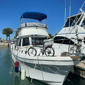 1988 Albin 34 Family Cruiser w- Flybridge