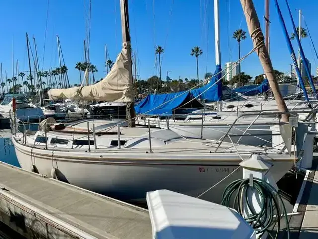 Catalina 30