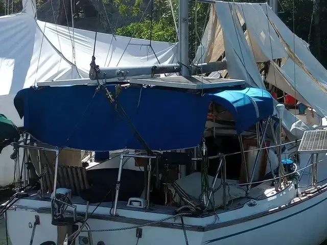 Pearson 365 Ketch