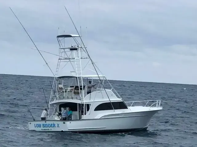 Sunny Briggs Flybridge Sportfish for sale in United States of America for $395,000