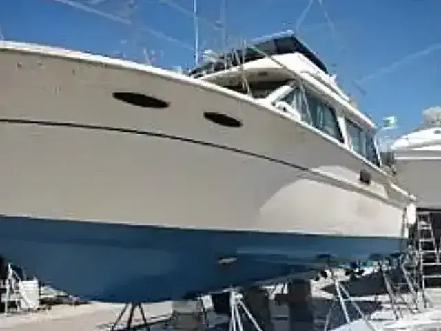 Sea Ray 355T