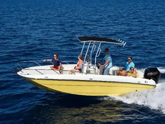 Bayliner Element CC7