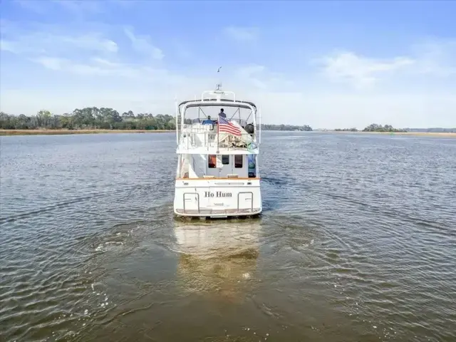 Selene 53 Ocean Trawler