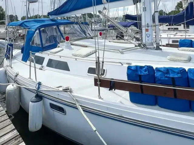 Catalina 42