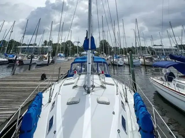 Catalina 42