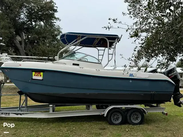 Sea Cat 226DL