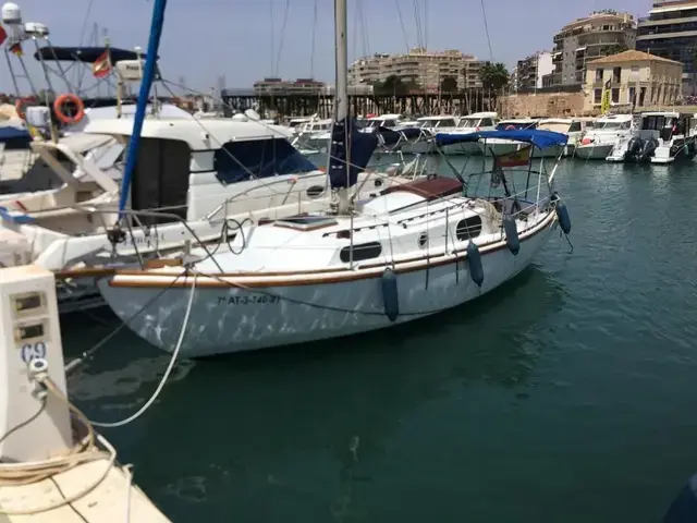 Macwester 26