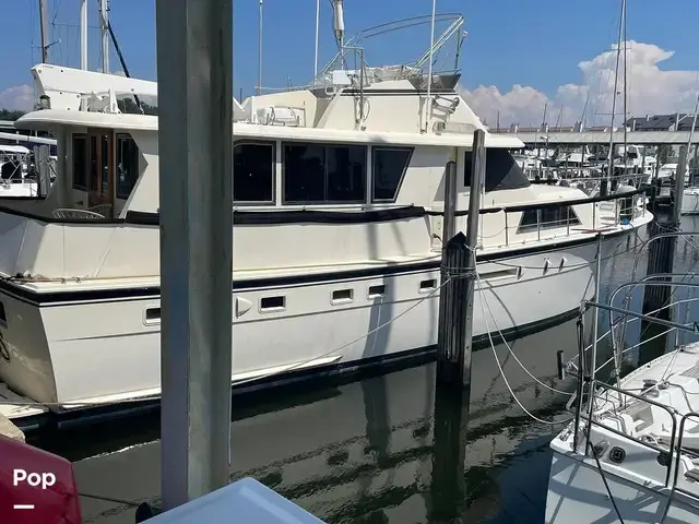 Hatteras 53