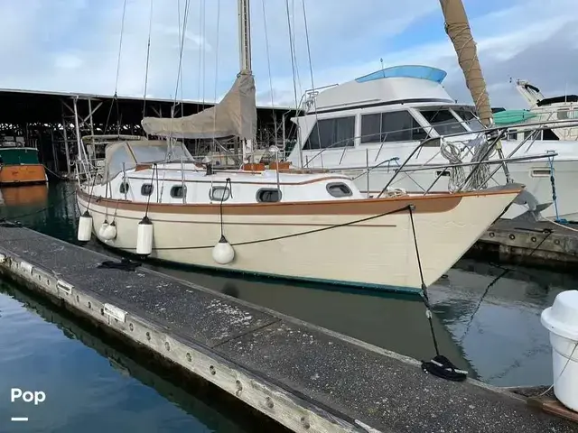 Rafiki 35