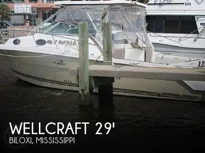 290 Coastal - Wellcraft