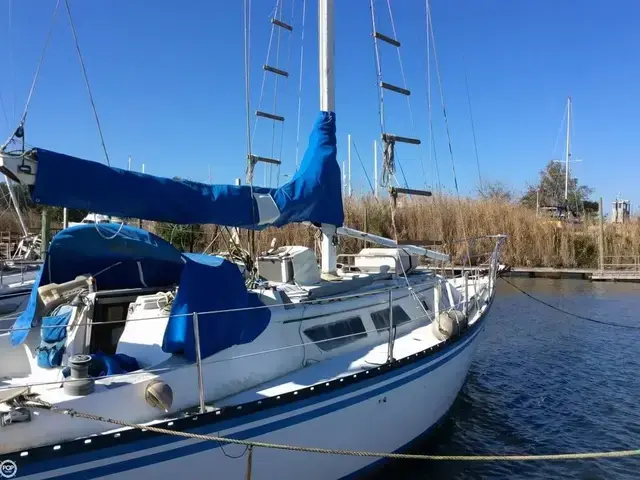 Hunter 37C