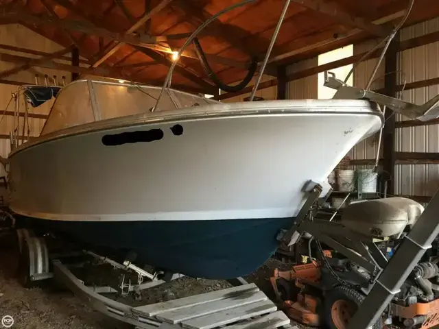 Bertram 25 Mark II Convertible Sport Cruiser