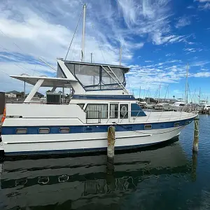 1984 Sundeck 42