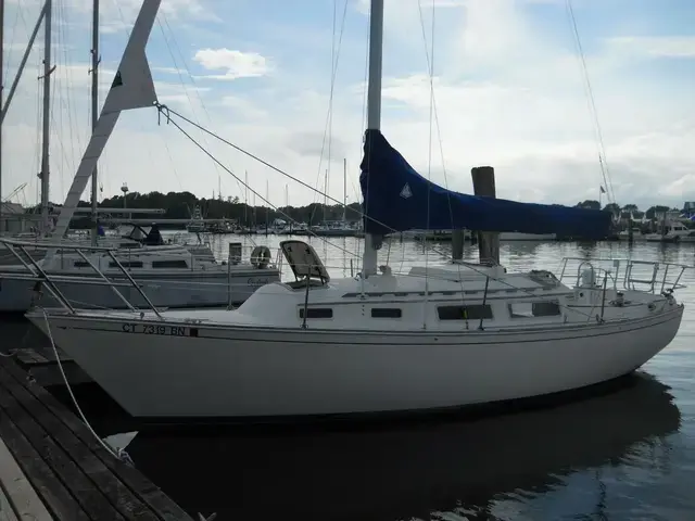 Sabre 28