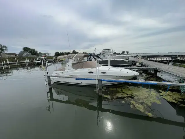 Sea Ray Sundancer 260