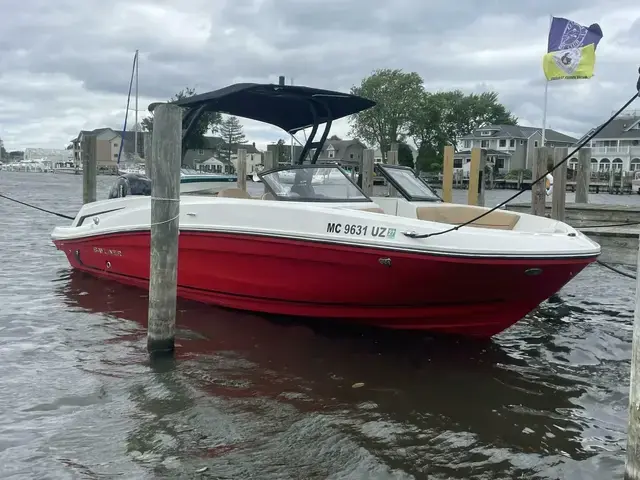 Bayliner VR6 Bowrider Outboard