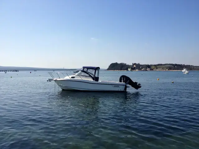 Boston Whaler 235 Conquest