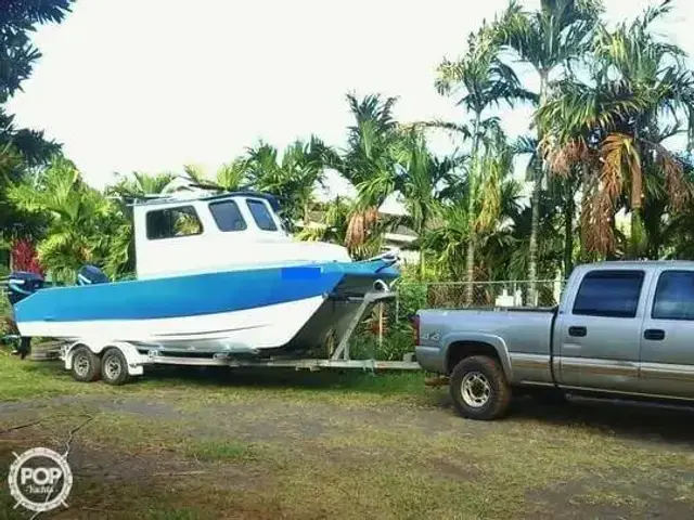 Maui Custom 25 Power Catamaran