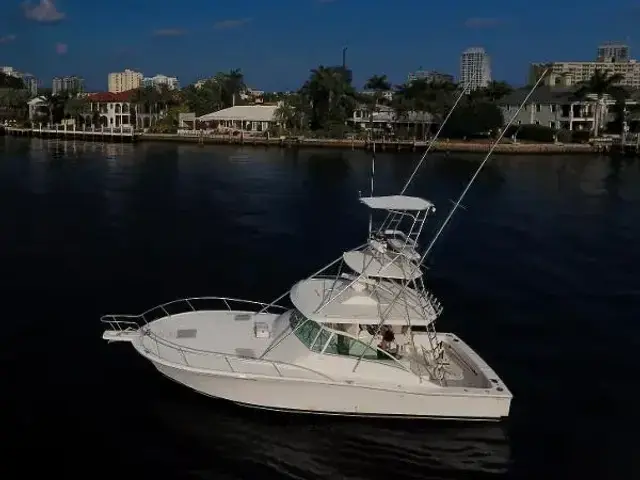 Luhrs 40 Open