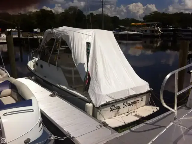 Shamrock EXPRESS 260