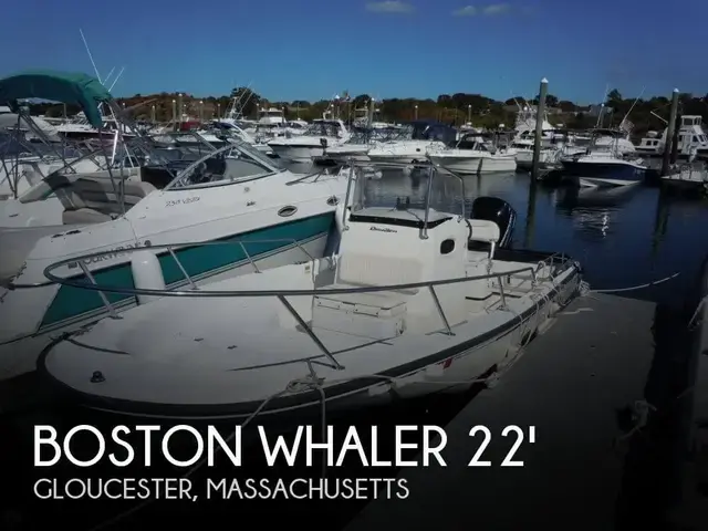 Boston Whaler 22 Dauntless