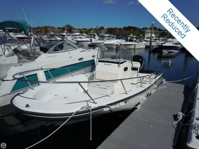 Boston Whaler 22 Dauntless