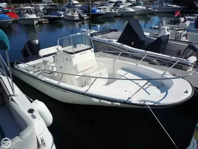 Boston Whaler 22 Dauntless