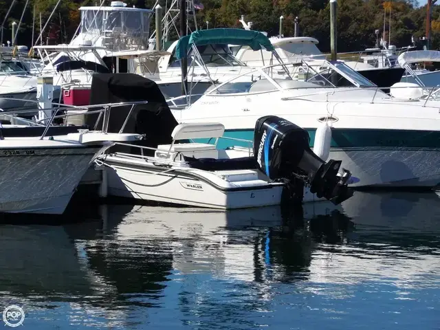 Boston Whaler 22 Dauntless