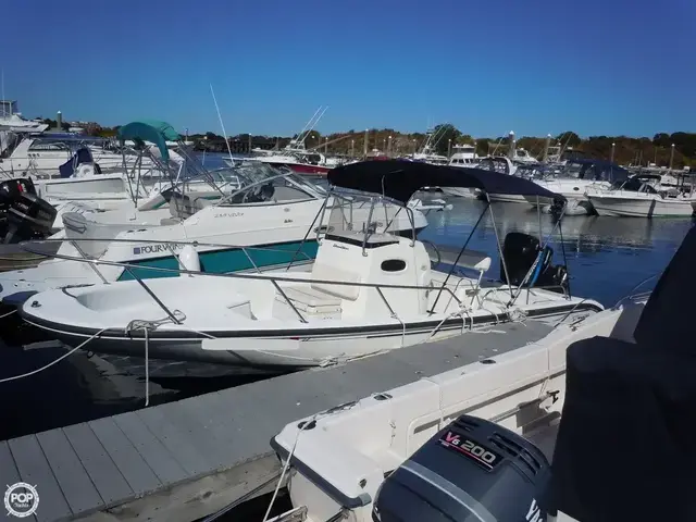 Boston Whaler 22 Dauntless