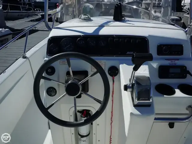 Boston Whaler 22 Dauntless