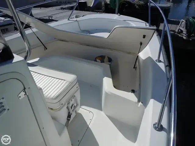 Boston Whaler 22 Dauntless