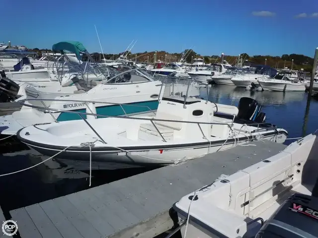 Boston Whaler 22 Dauntless