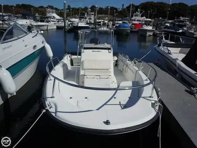 Boston Whaler 22 Dauntless