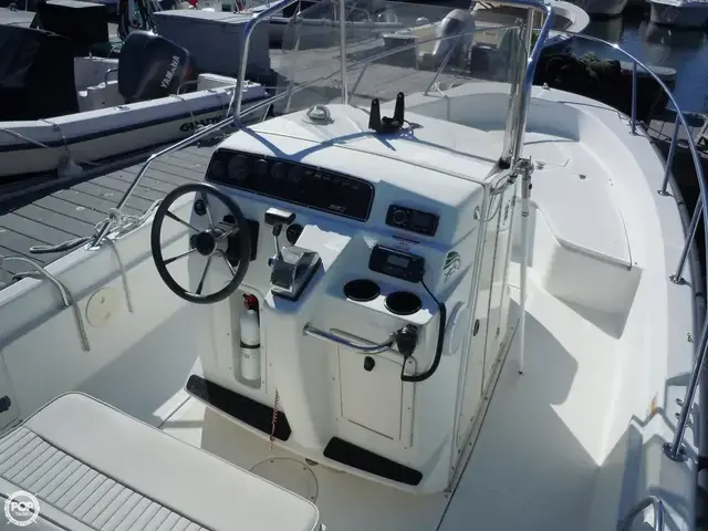 Boston Whaler 22 Dauntless