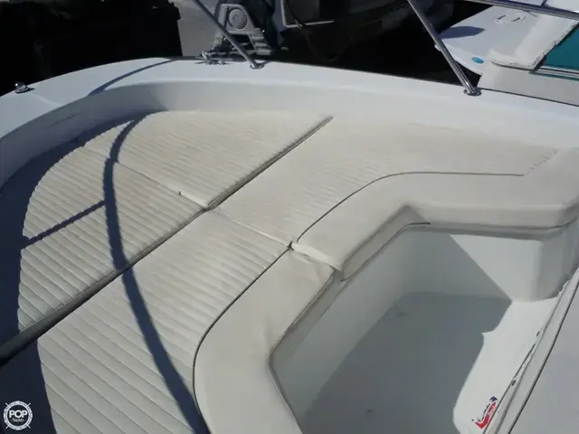 Boston Whaler 22 Dauntless