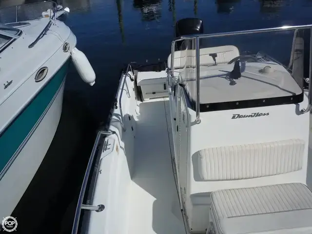 Boston Whaler 22 Dauntless