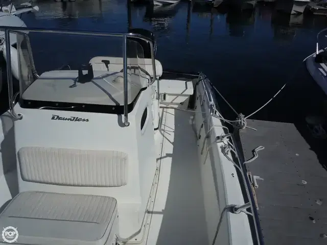 Boston Whaler 22 Dauntless