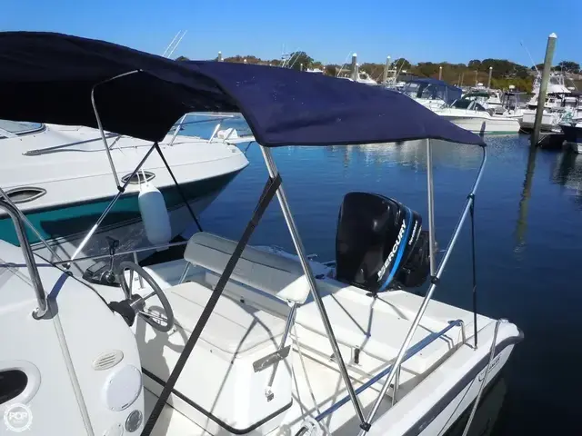 Boston Whaler 22 Dauntless