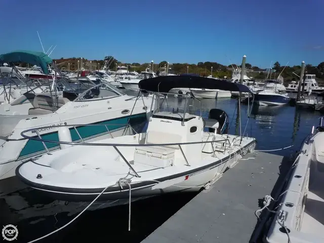 Boston Whaler 22 Dauntless