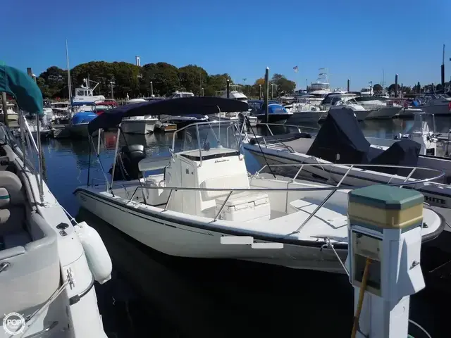 Boston Whaler 22 Dauntless