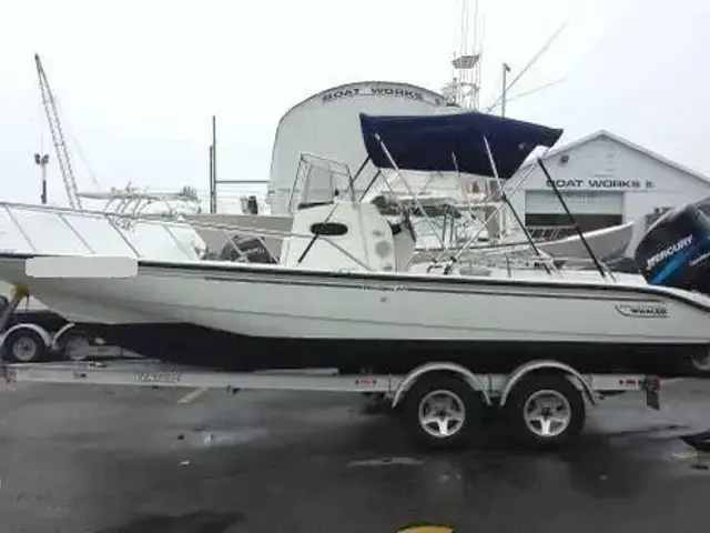 Boston Whaler 22 Dauntless